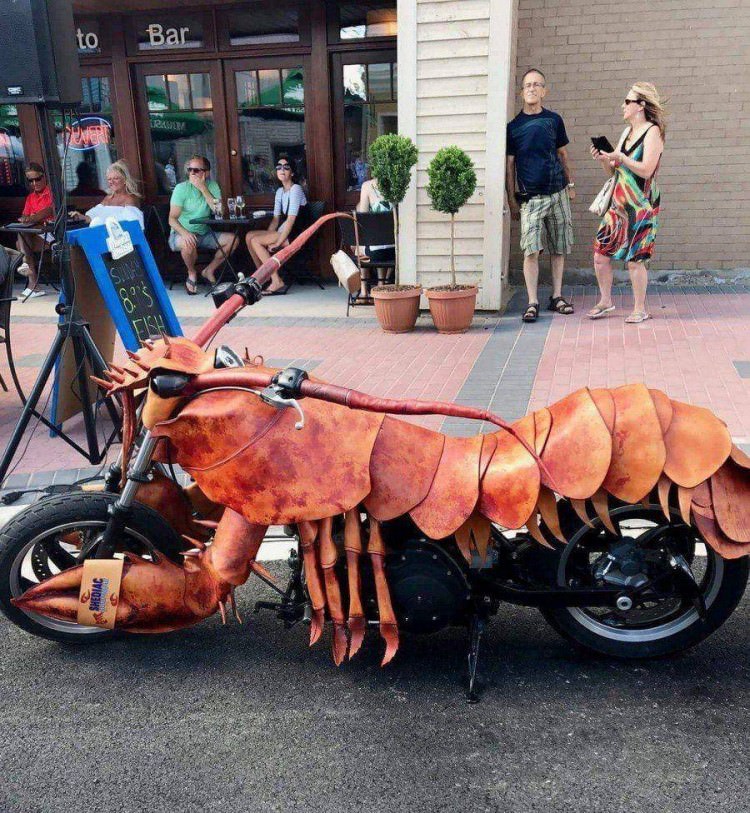 Girls who love Bikes