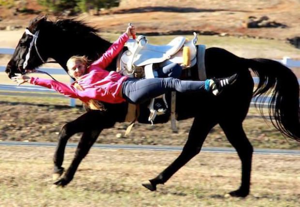 horses