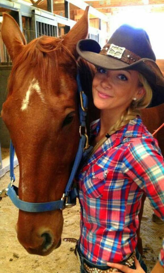 horses