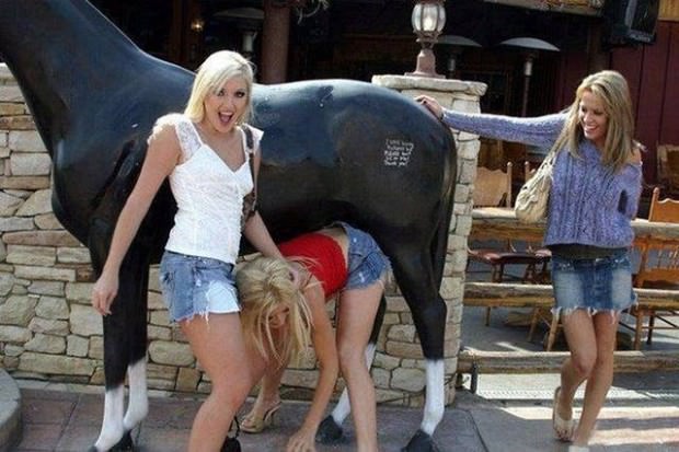 horses