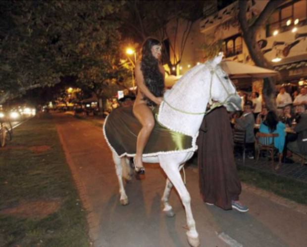 horses