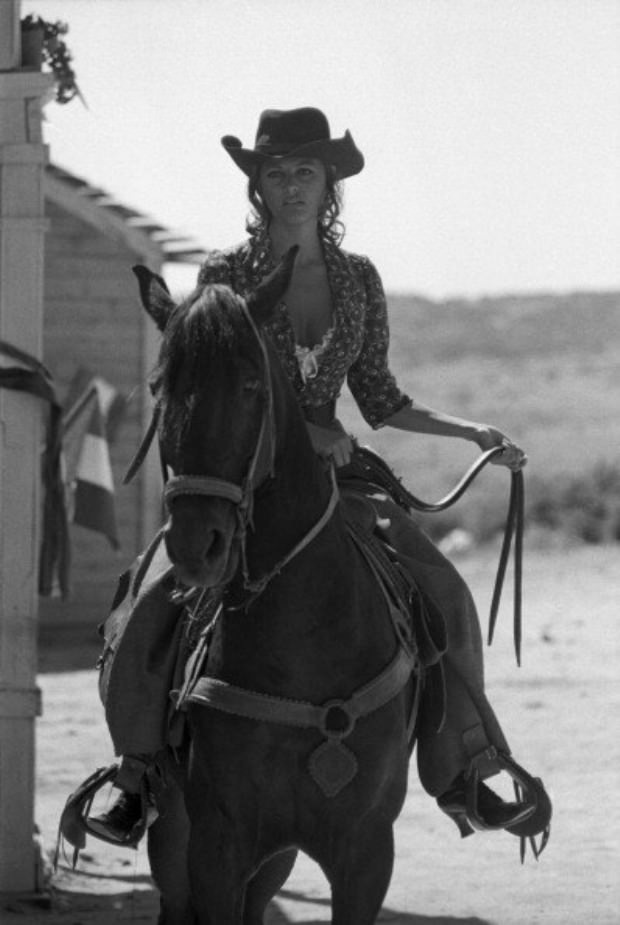 horses