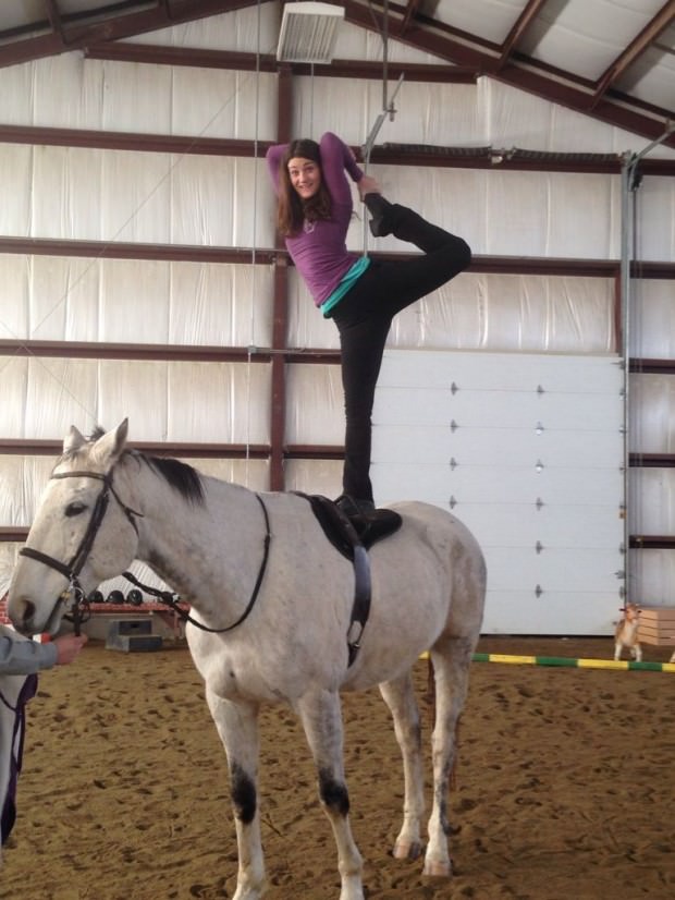 horses