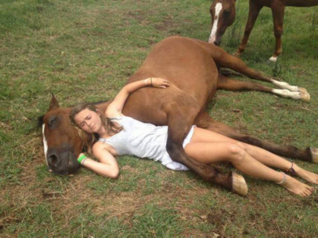 horses