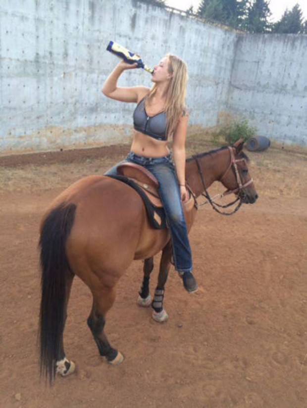 horses