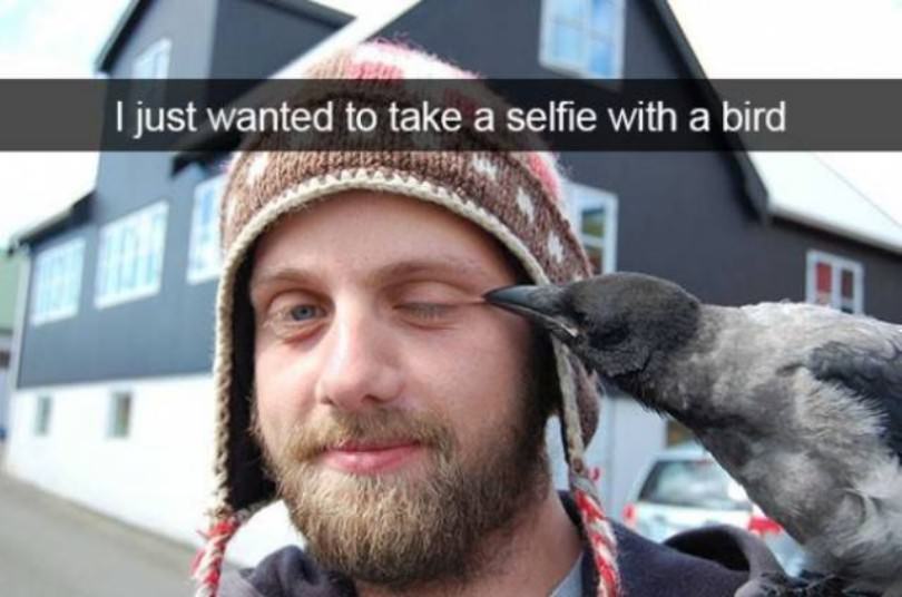 Expert selfies
