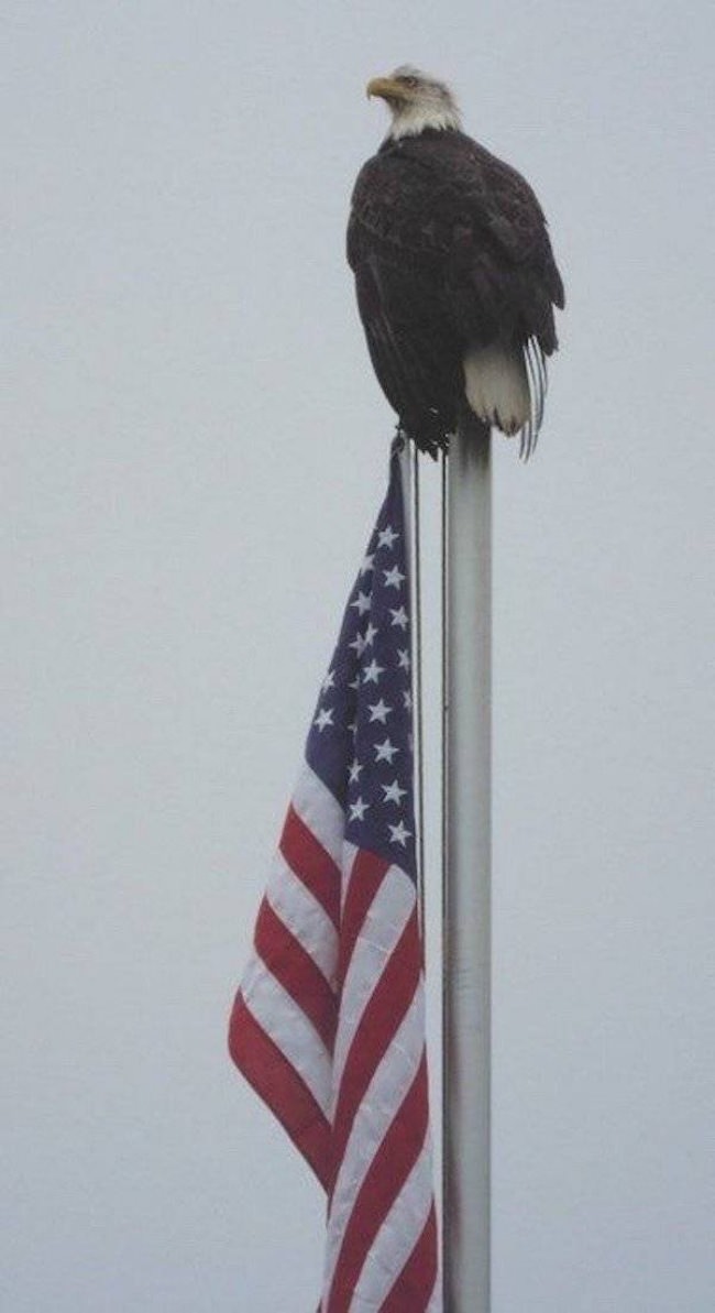 USA