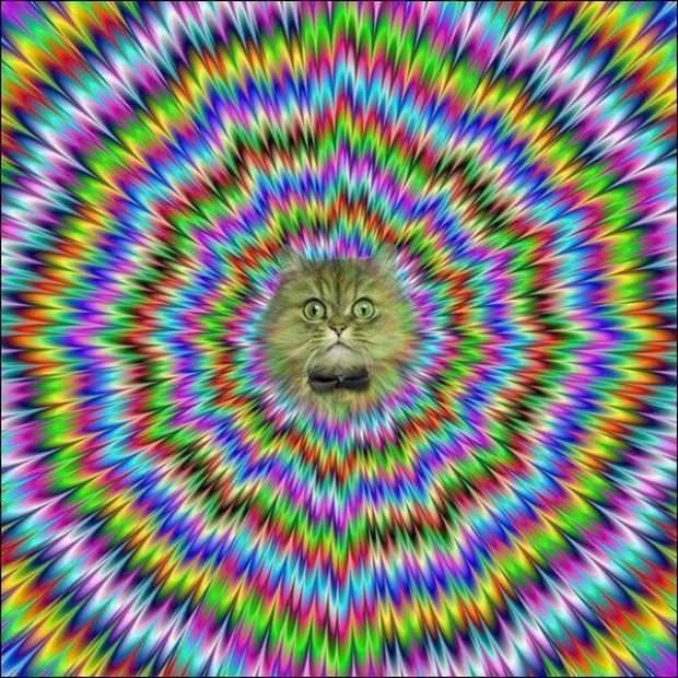 illusions
