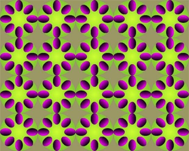 illusions