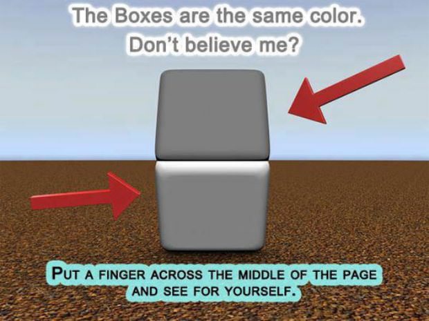 illusions