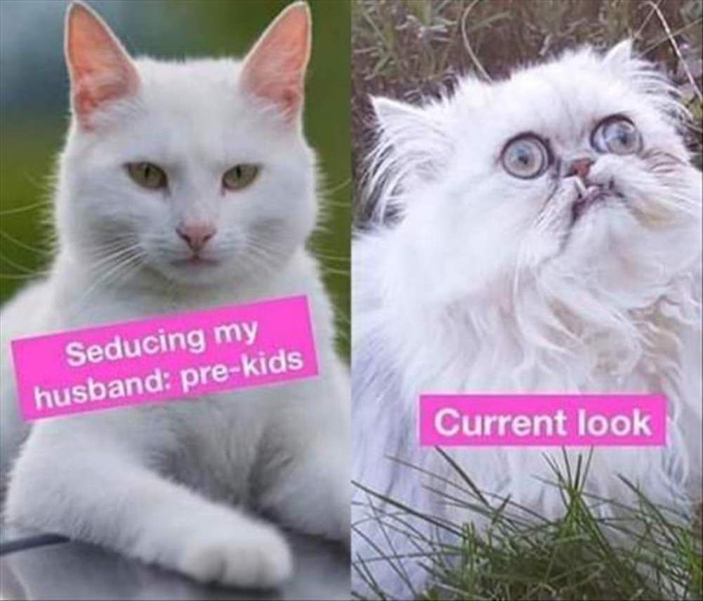 Married Life