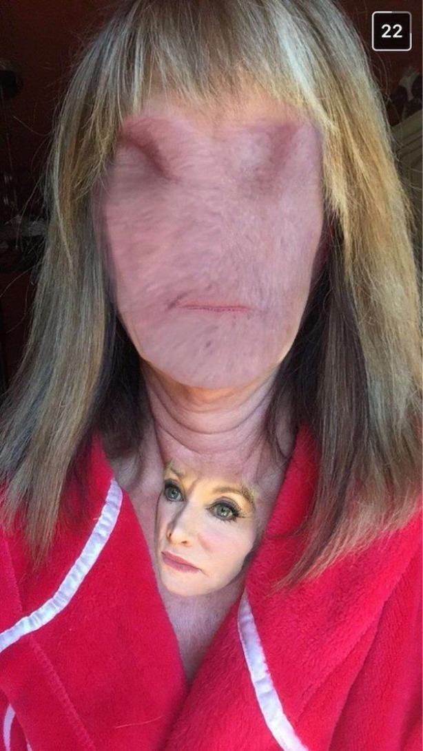 face swap
