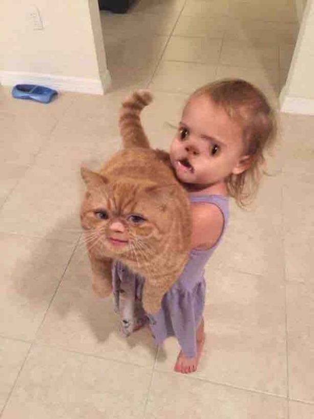 face swap