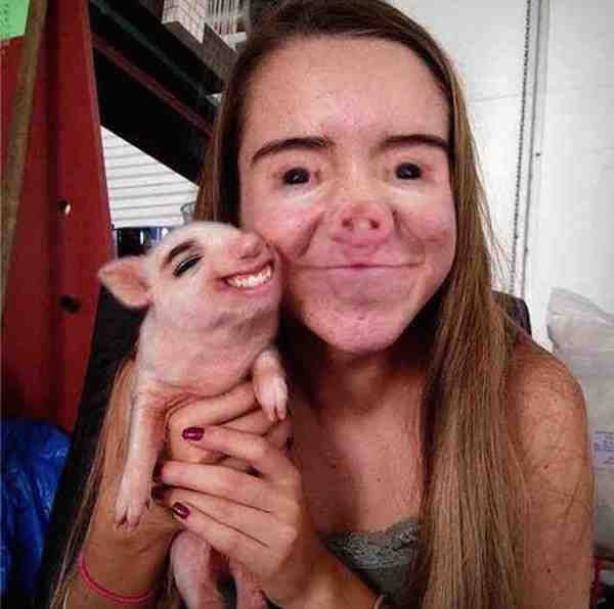face swap