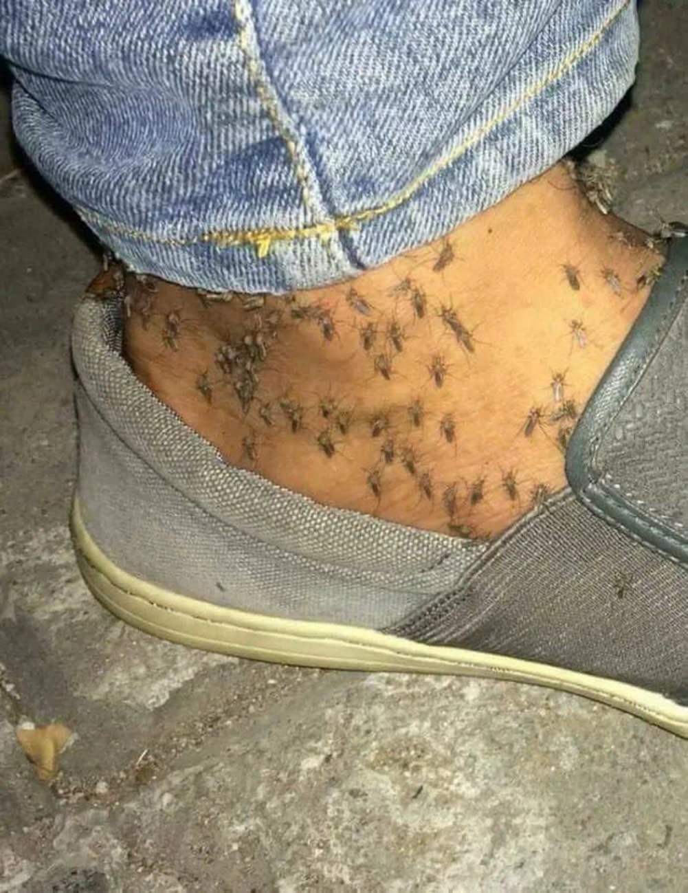 Nope