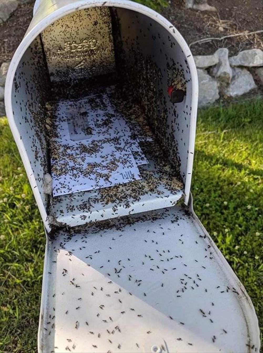 Nope