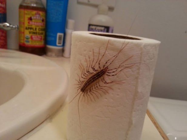 nope