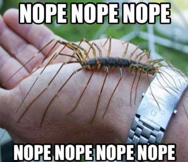 nope