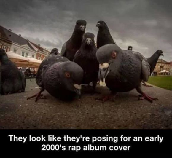 evilmilk funny pictures