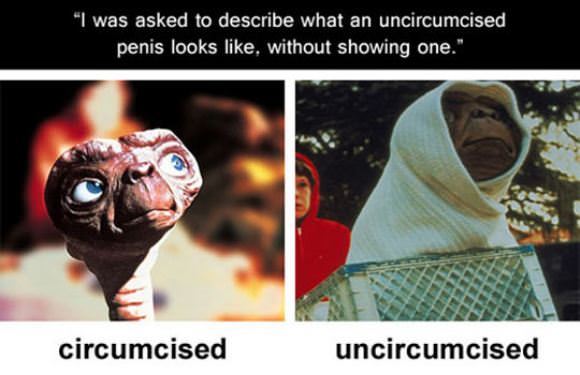evilmilk funny pictures