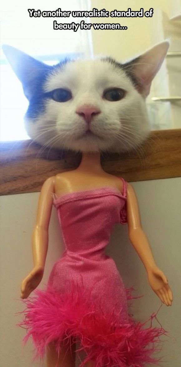 funny pictures overflow