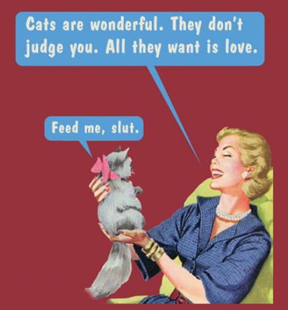 funny pictures overflow
