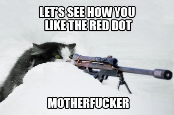 funny pictures overflow