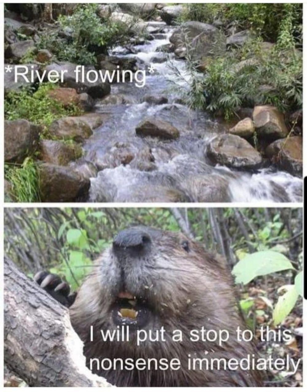 Overflow