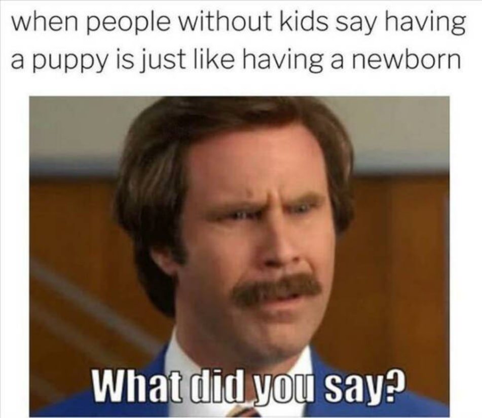 Parenting