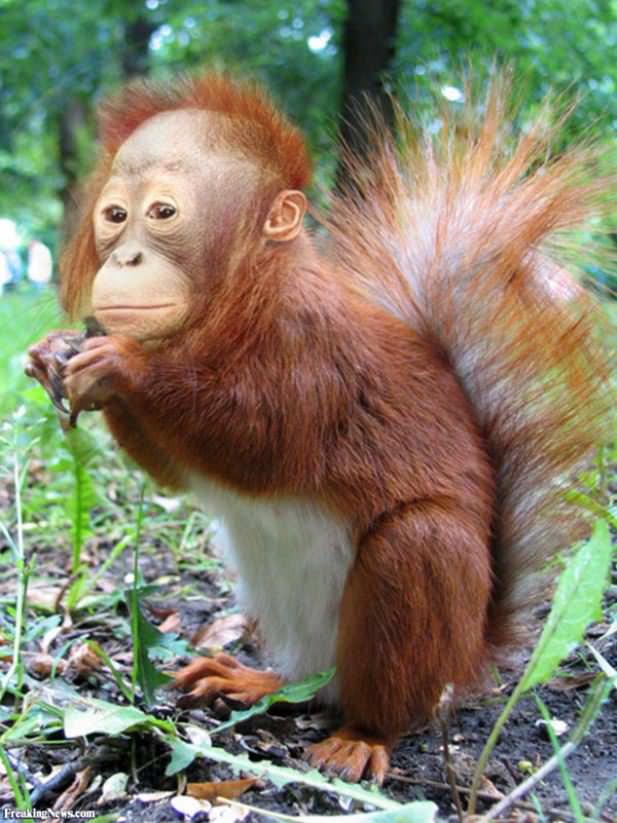 Fun with Photoshop