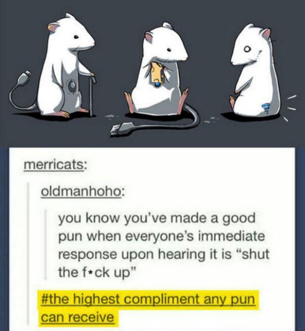 puns