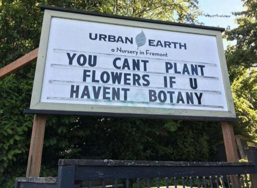 Very Punny