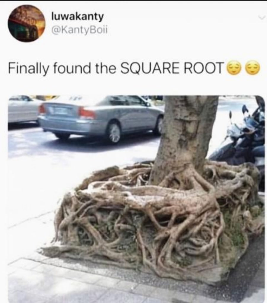 Very Punny
