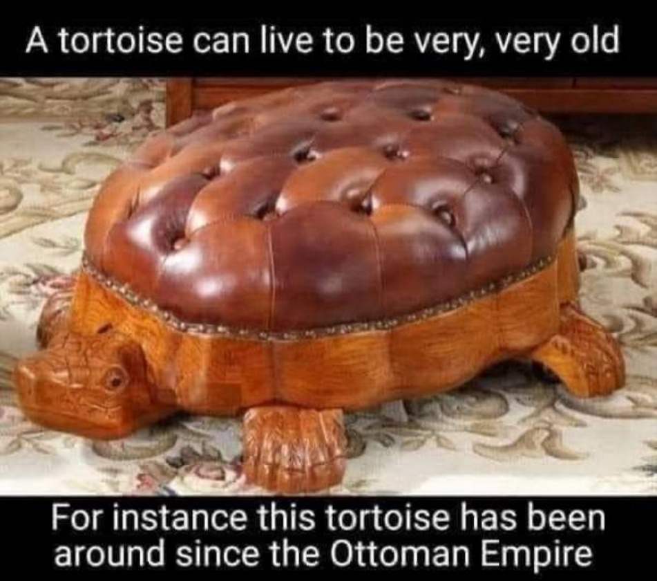 Very Punny