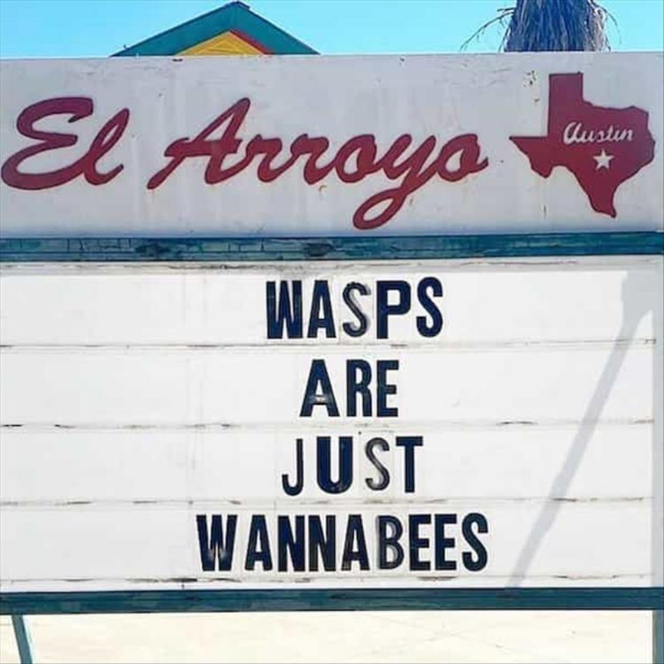 Very Punny