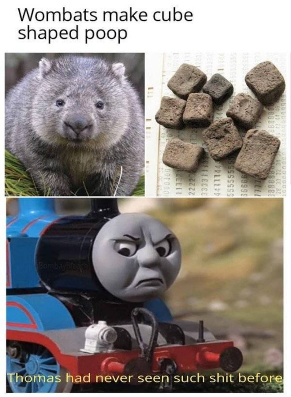 Very Punny
