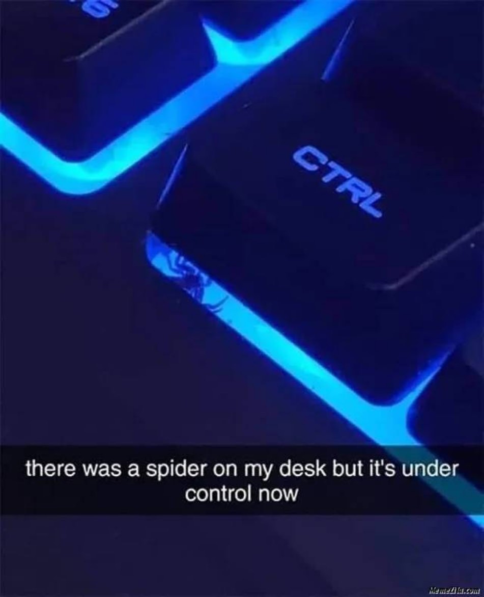 Very Punny