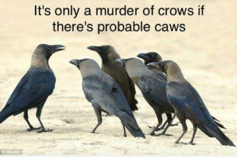 Very Punny