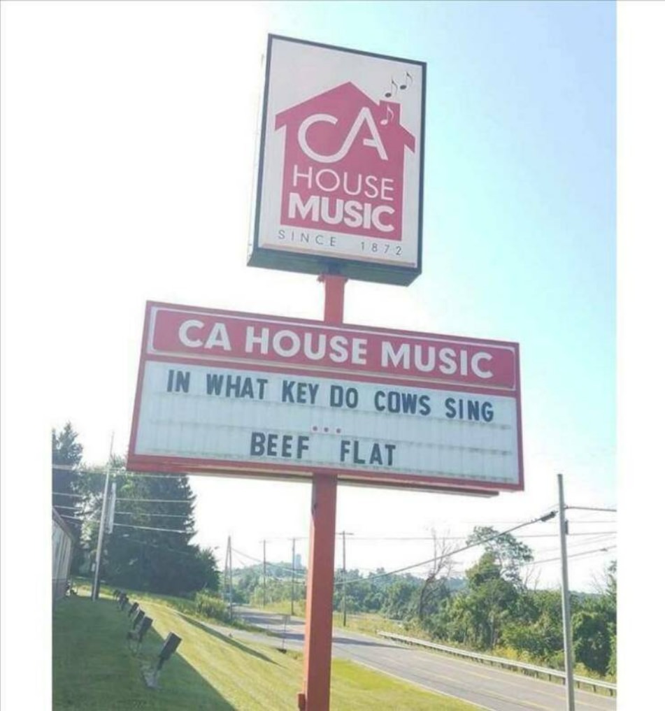 Very Punny