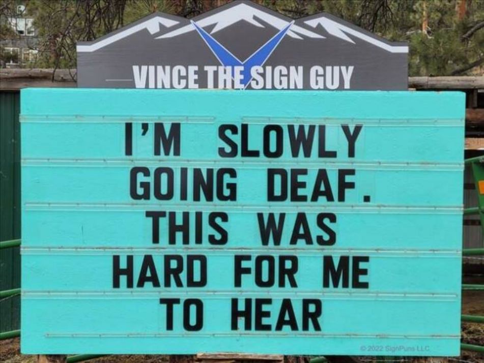 Very Punny