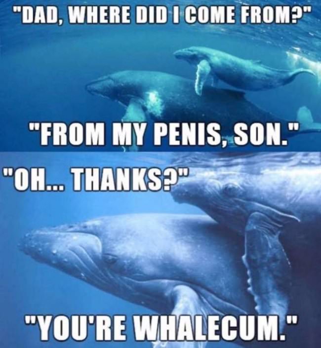 puns