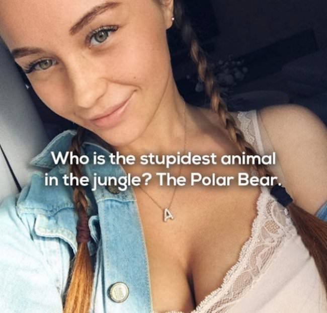 puns