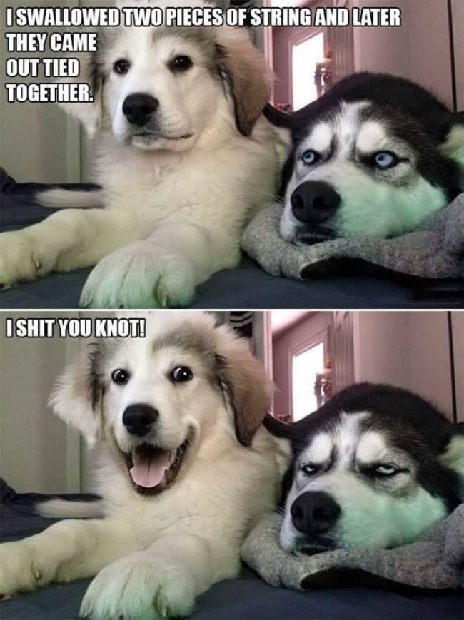 puns