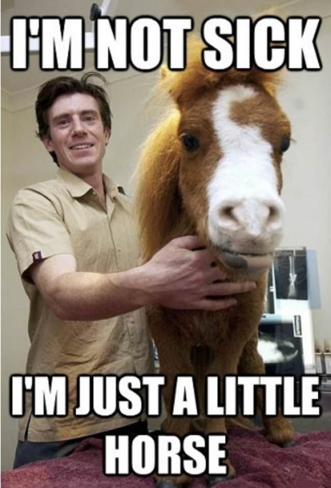 puns