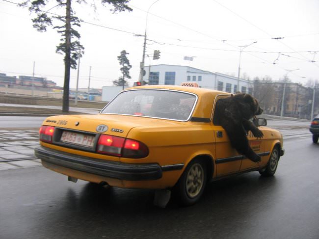 russians