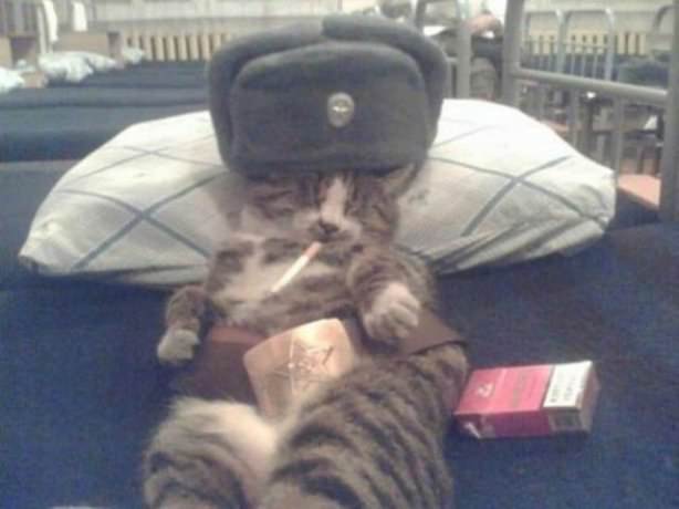 russia