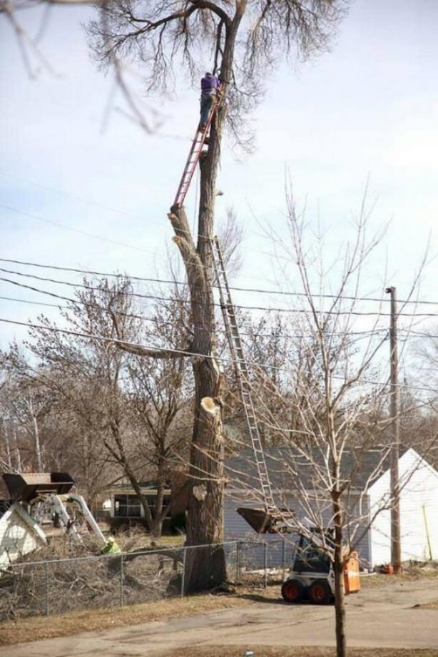 safety