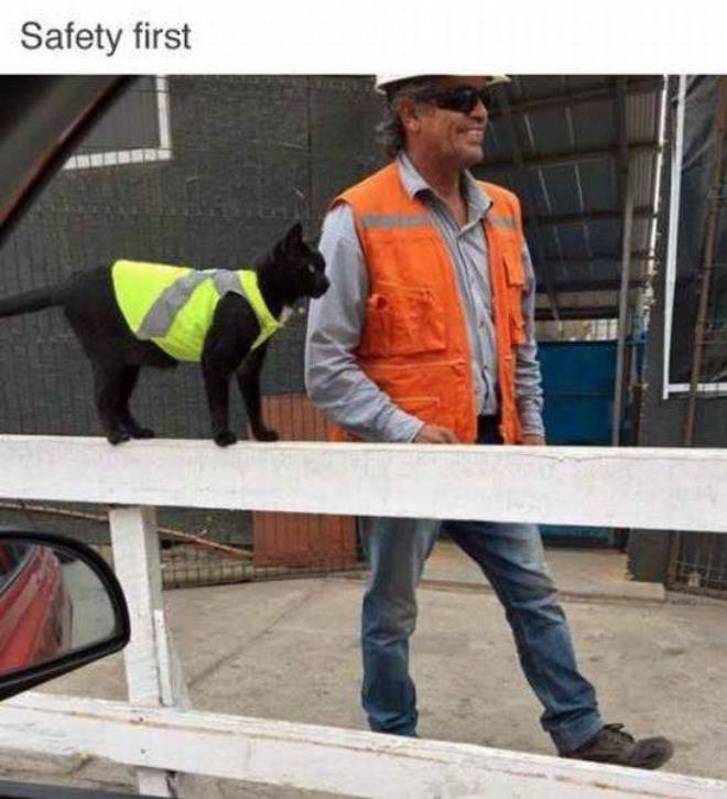 safety.