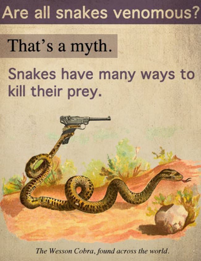 snakes