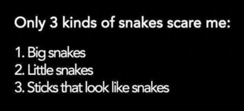 Slithering Snakes